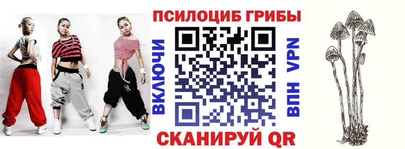 omg ССЫЛКА  Краснообск  Псилоцибиновые грибы Cubensis 